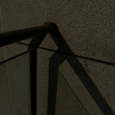 兽设幻想物种设计兽圈社群